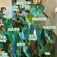 ���G�q���Ժϼ�  ���  �����ɹ�  ���D ���[����  �������l   һ