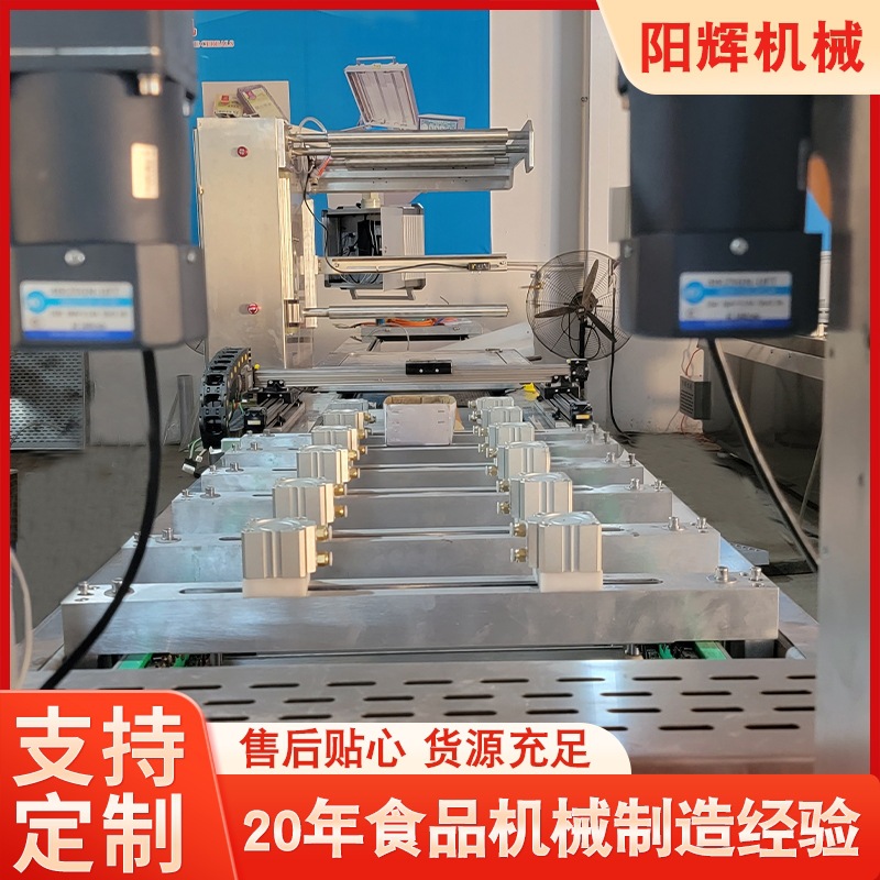 蒜香排骨全自动真空包装机 牛排烤肠豆制品连续式拉伸膜封口设备