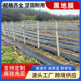 �r�õ�Ĥ�Nֲ�N�ˌ��úڵ�Ĥ���ݼӺ����ϱ�Ĥ�������@���ݱ���