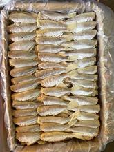 L红目莲 目肉 咸鱼 大眼鸡 海鲜水产干货批发 20斤/件