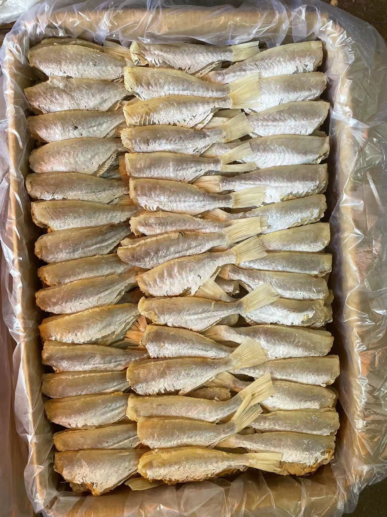 L红目莲 目肉 咸鱼 大眼鸡 海鲜水产干货批发 20斤/件