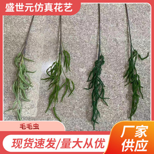 ëë�x�Gɫ����ֲ��ɭϵ���滨�Gɫ������Gֲ��Y�bF؛���l