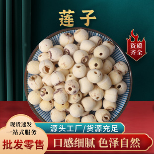 ɏ��/ɏ�Ӹ�؛ȥо��؛�͜غ決/ɏ��ȡо����ɏĥ����ĥƤ��ɏ