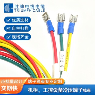 �C���B�Ӿ������O�侀1007�S�G���~�B�Ӿ�RV��Ӿ��䉺���Ӿ����S