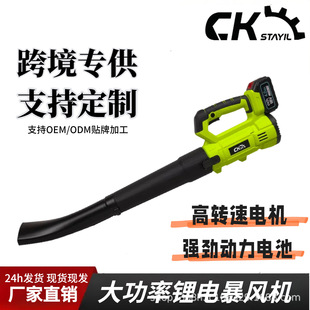 Storm Gun Electric Hair Dryer Lithium Battery Rechargeable High-Power Portable Industrial Blower Garden Dust Collector