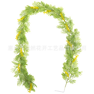 �羳��Ʒ������˼���ٗl��Y������������Ϛg��������Ϛg�b���