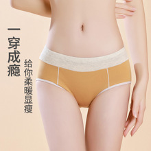 夏季新款纯棉内裤女中腰大码女士三角裤透气提臀短裤头工厂代发
