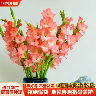 ���m�M�ڄ��m�N�����Ի����͟��ļ��_��ֲ�������ѷN�����������