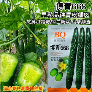 ����668�S�ϷN�Ӵ����ļ����S�ϷN�Ѹ߮a�óԾG��ˮ���S���߲���