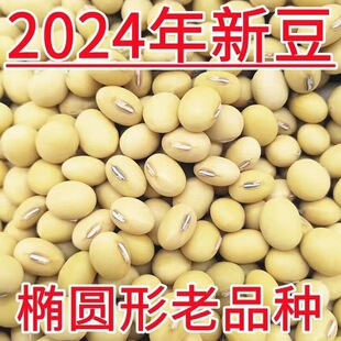 2025��؛���S�����S����Ʒ�N�E�A���S���򶹝{����������һ�����l