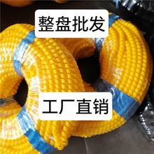 Sɫo׼ӺĥϻҺ͹ܱo׾|o