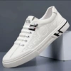 CK203 white