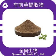 全奥厂家车前草提取物 车前草粉 食品级原料 车前草浸膏粉 包邮