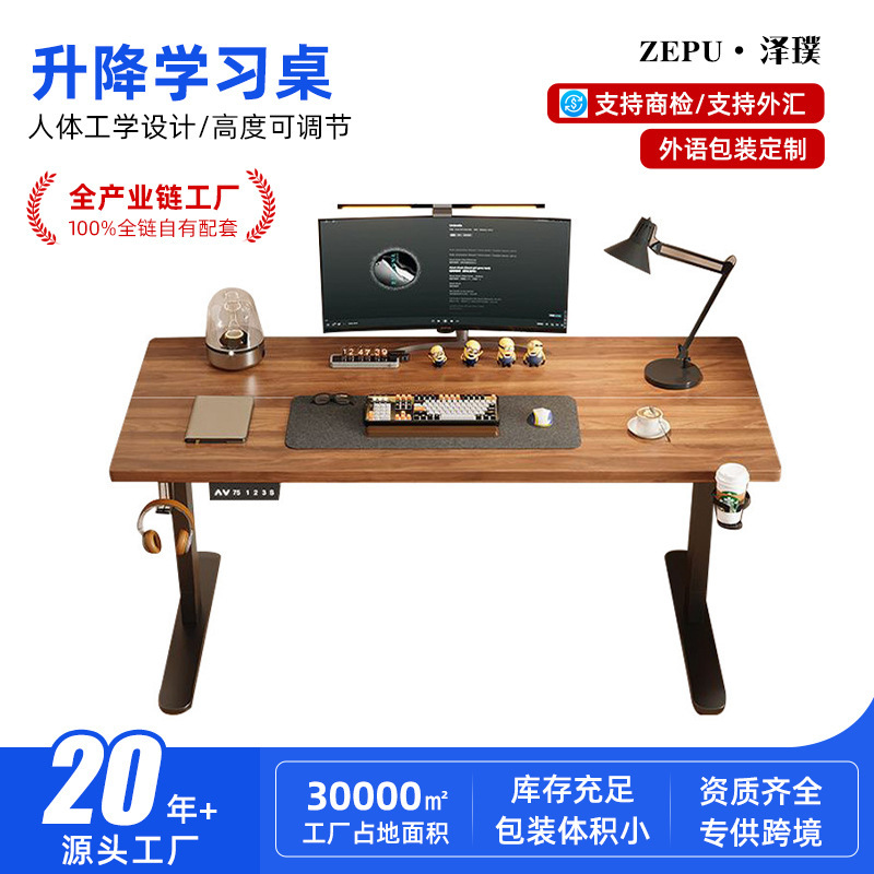E-Sports Computer Desk, Home-Use Standing Desktop Workstation, Simple Study Desk for Bedroom, Electric Height-Adjustable Desk