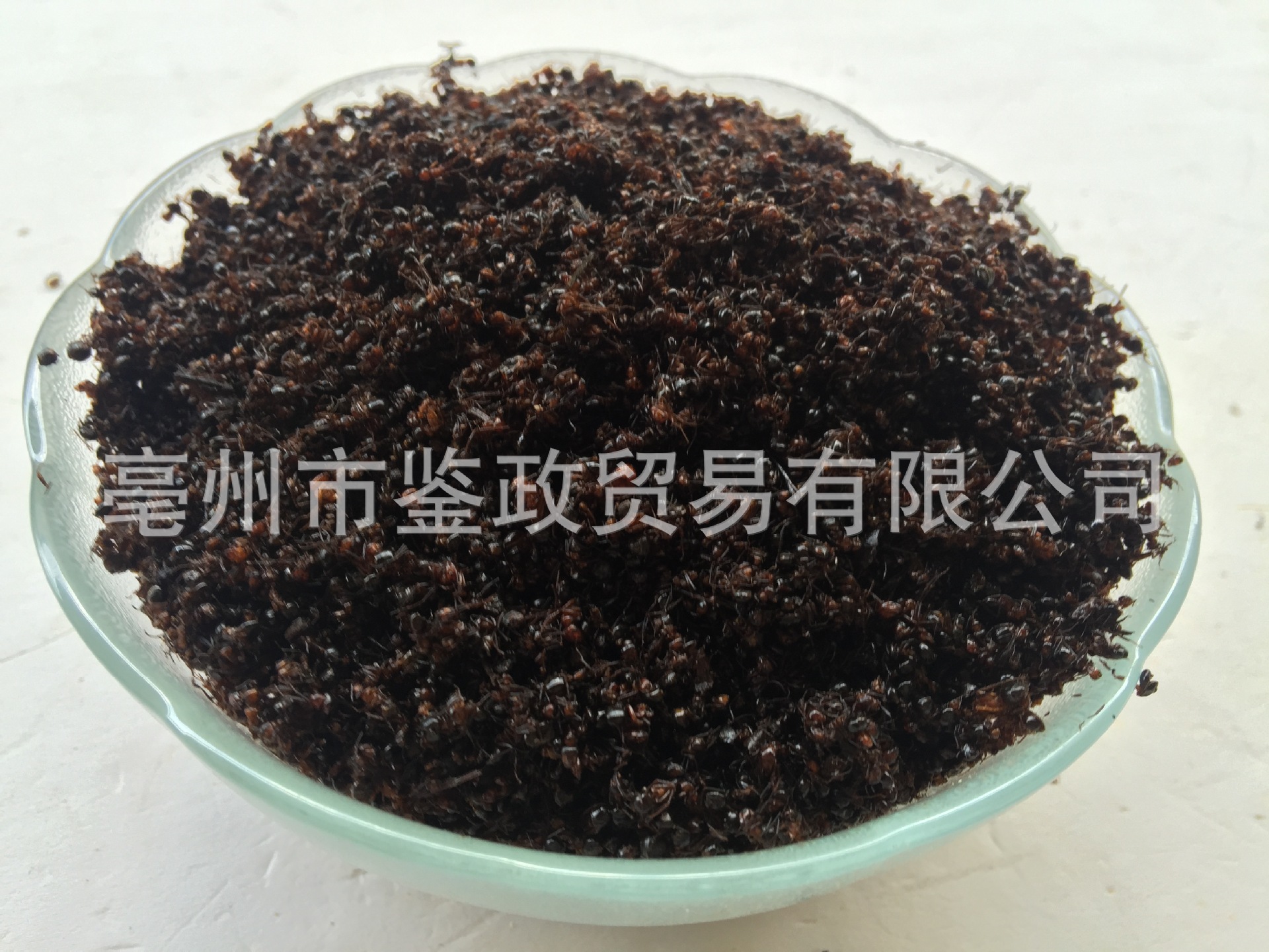 Dried Black Ant Whole Insect 500g Traditional Chinese Herbal Material for Infusion and Decoction Use quality and texture