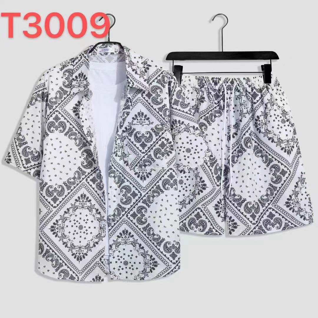 T3009白