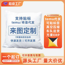 jit跨境temu来图定制抱枕套希音集采数码印花贴标枕套沙发靠垫