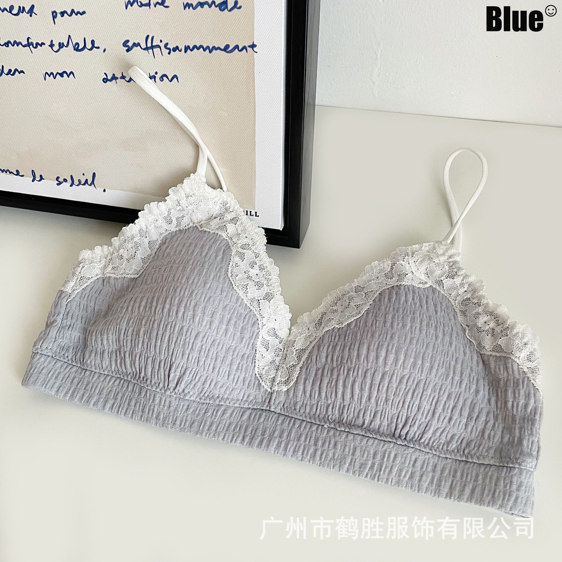 Venta directa de fábrica comercio electrónico transfronterizo Sudeste de Asia Vietnam Tailandia damas sin costuras sujetador de recogida lateral cómodo