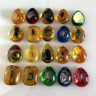 ������Ȼ�����x�˱�ϐ��֩����������� �׃��̌W�J֪����YƷ