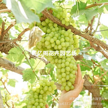 �½������������Ә���o�Ѱ����ј���u�Ĺ�����o�˰��u��������