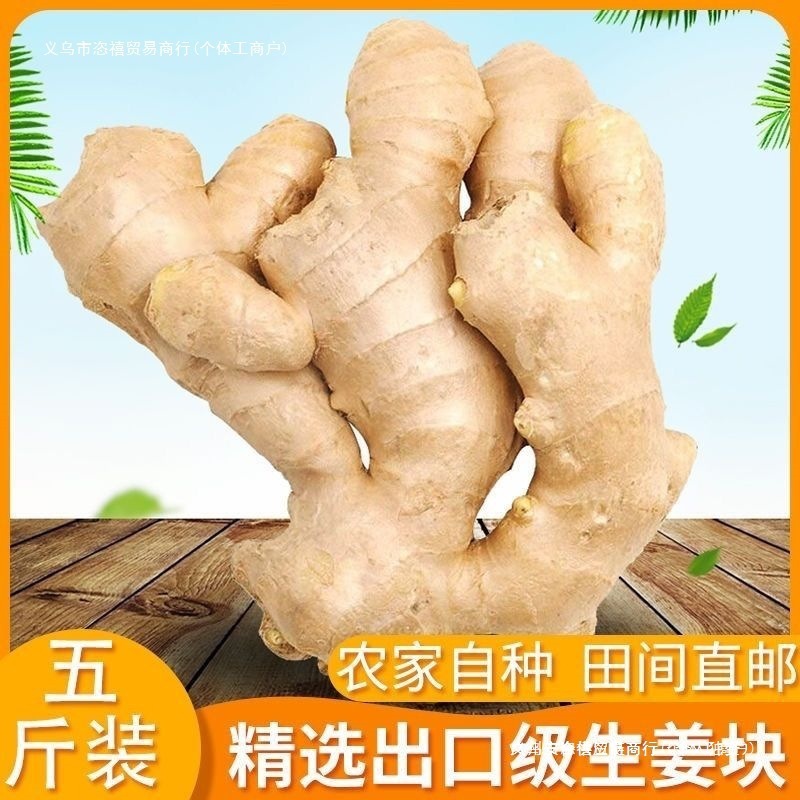 山东大黄姜新鲜蔬菜水洗风干生姜家用饭店食堂理疗包邮批发零售】|undefined