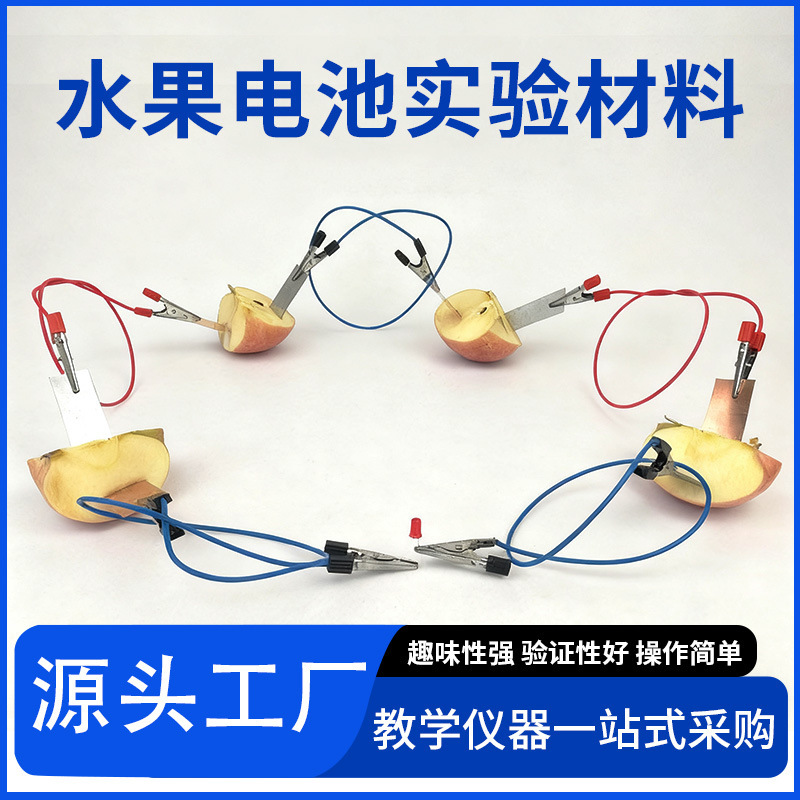 Fruit power generation experiment set Student Science and Technology small production fruit battery experiment set children's primary school teaching aids