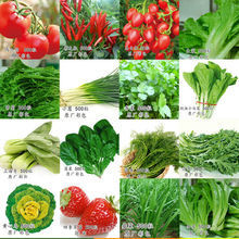 ˾²˲۲˽j˿ĲСײ˷N[[