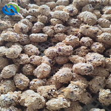 җɿC ȫԄDPʽϿC tֹTa