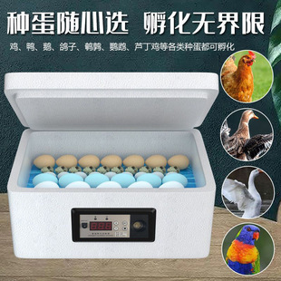 ������ȫ�Ԅ�С�ͼ���ˮ�������C�u���Z���ӿ�ȸ�����C