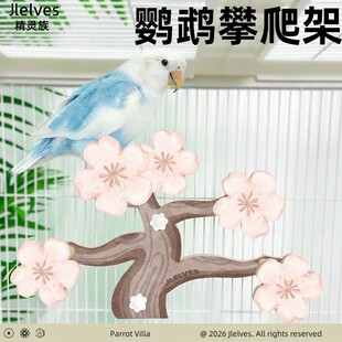 �W�^����Bվ�܌�ľվ���B�\�쾰���Pĵ�����п�ҧ��ˣ����