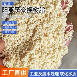 离子交换树脂