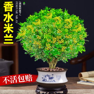 ��ˮ���m�����Ԏ������������Ϙ��ļ��_���҃����F���ܾGֲС����