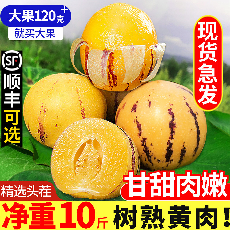 云南人参果水果10斤大果黄肉新鲜石林人叁果树上熟人生果圆果整箱