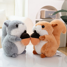 ��������������ë�q��߷���С��������ż��ͯ�ɐۂ}�󰲓�����