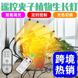 Qianrun Lighting LED Plant Growth Light 2835 Full Spectrum Plant Supplementing Light USB Greenhouse Seedling Planting Light 5V