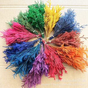 ʯ�ɼҾ��b廨��������޹Ϟ�T���ܛ�b�ɻ����ldried flower