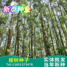 ���N����ľ�N�����l С�~��� �������N�Ӵ��~���