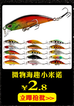 Shallow Diving Minnow Lures Hard Plastic Baits Bass Trout Fresh Water Fishing Lure