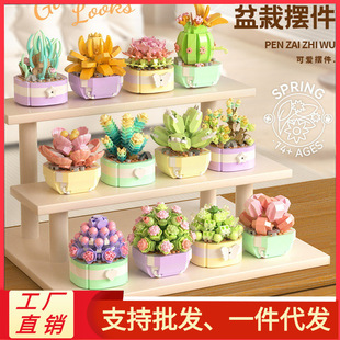 ���P1245-P1257���滨�ܶ������Ի����[��ƴ�b�eľ���ݘ�����һ
