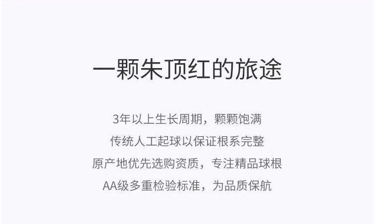 gm6WifKnzdTvlDvQUnfWcwivU1s8Udwb/T8j