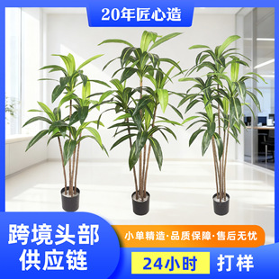 �羳���b��������F���F�~����ľ�̈�����������ؔ[����������F