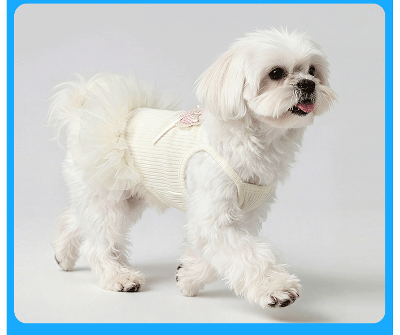 Robe d'été pour chien et chat en dentelle anti-poils_voghion.com