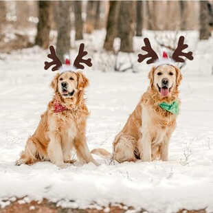 Cross-border Wholesale Christmas Elk Headband Christmas Hat Pet Cute Holiday Party New Year Headwear Hair Band Small Hat