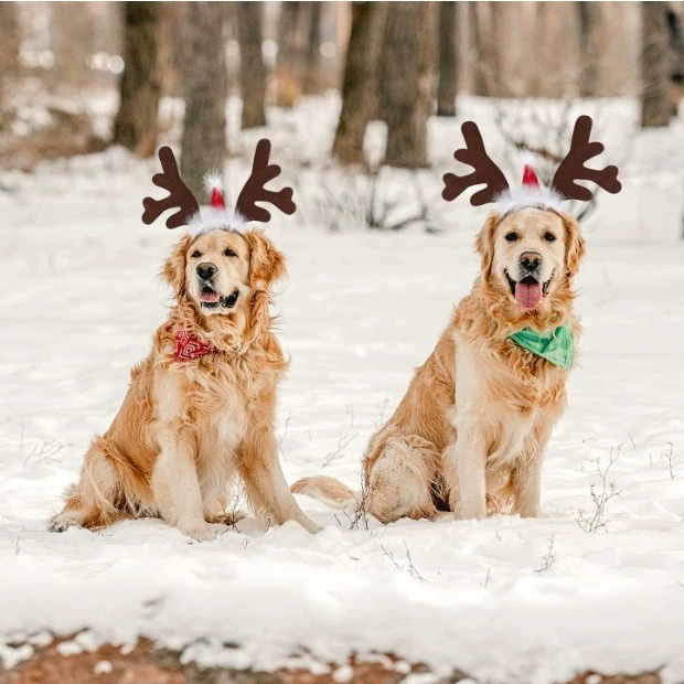 Трансграничная оптовая рождественская лося повязка на голову Рождественская шапка Домашние животные милые праздничная вечеринка Новый год головной убор обруч для волос маленькая шапка