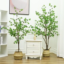 ����Gֲ�R��ľ�ձ����R���ʽ���Ԕ[�������҃ȿ͏d��ֲ���b�