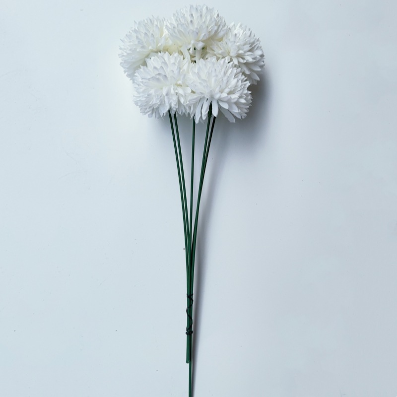 단일 공 국화