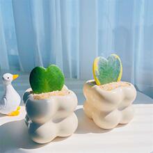 心叶球兰一片心多肉植物迷你盆栽办公室内电脑桌面绿植花卉送女友