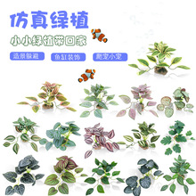 ���Ϸ���Сˮ��ˮ�����쾰�@ˇ�b�Ʒ�~�ה[������ˮ��