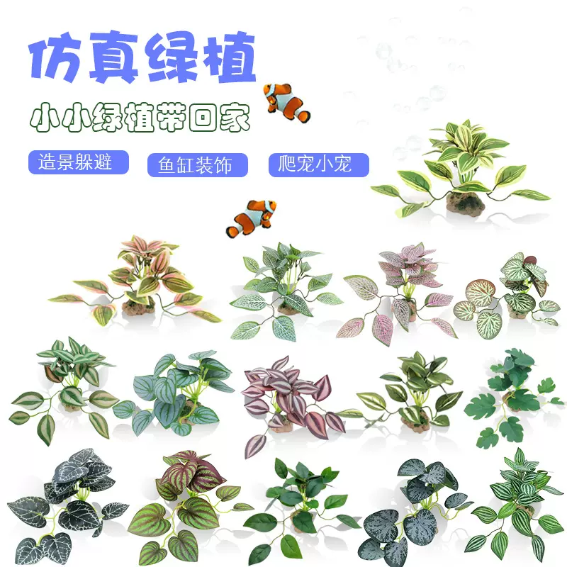 塑料仿真小水草水族箱造景园艺装饰品鱼缸摆件仿真水草