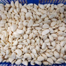 速冻蒜米料标准蒜米小级大级山东工厂直发去皮新鲜蒜米